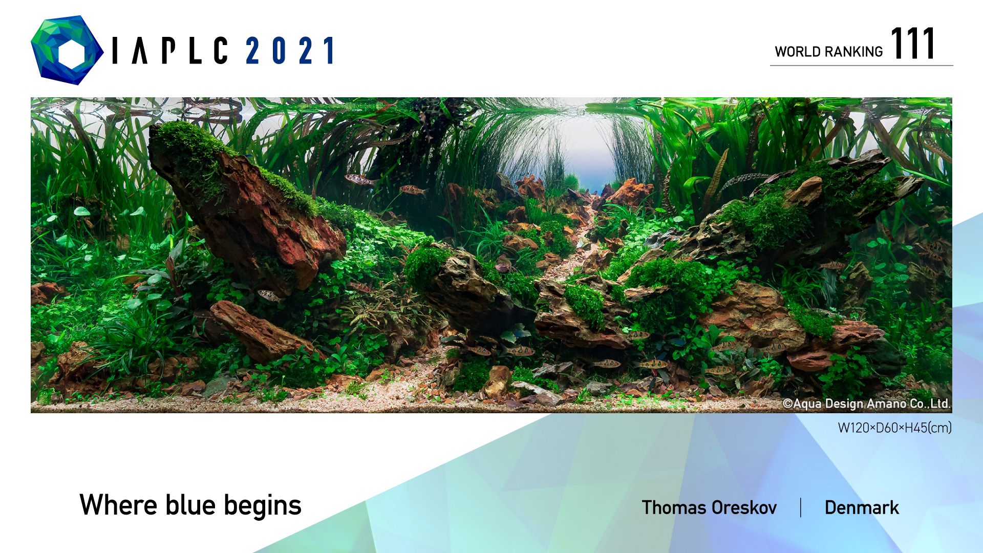 Thomas Oreskov IAPLC 2021 - AmaZoonia.dk