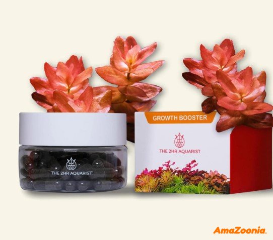 The 2Hr Aquarist APT Jazz 54 stk