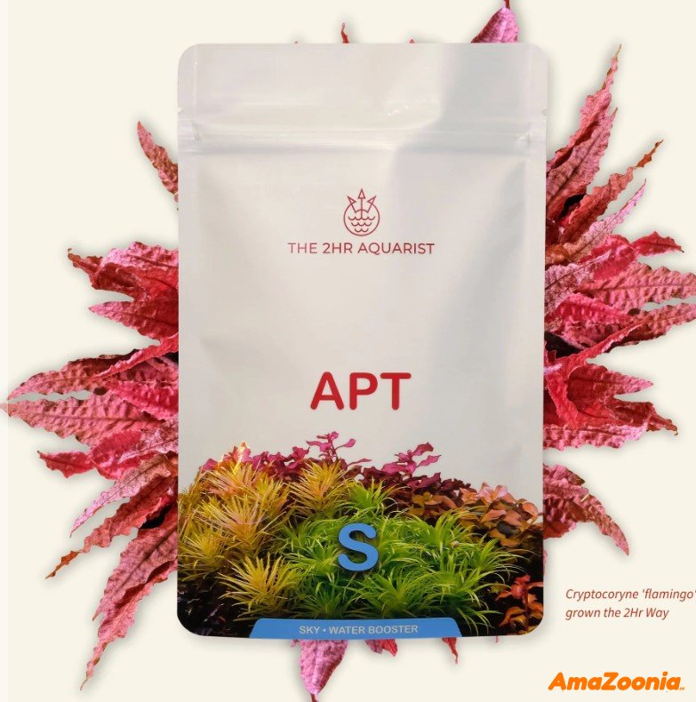 The 2Hr APT Sky 800g