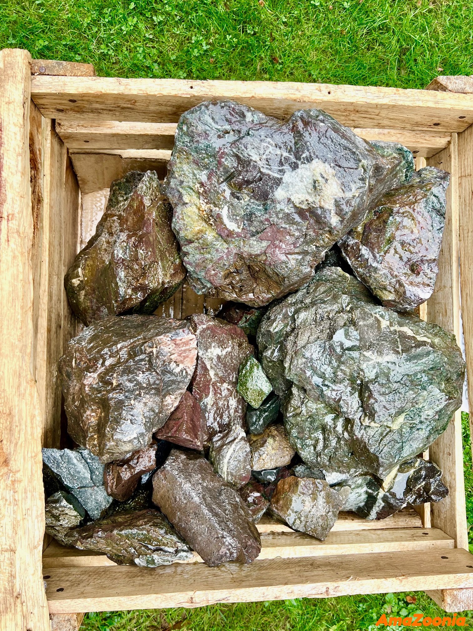 ADA Manten stone ( pr kg )