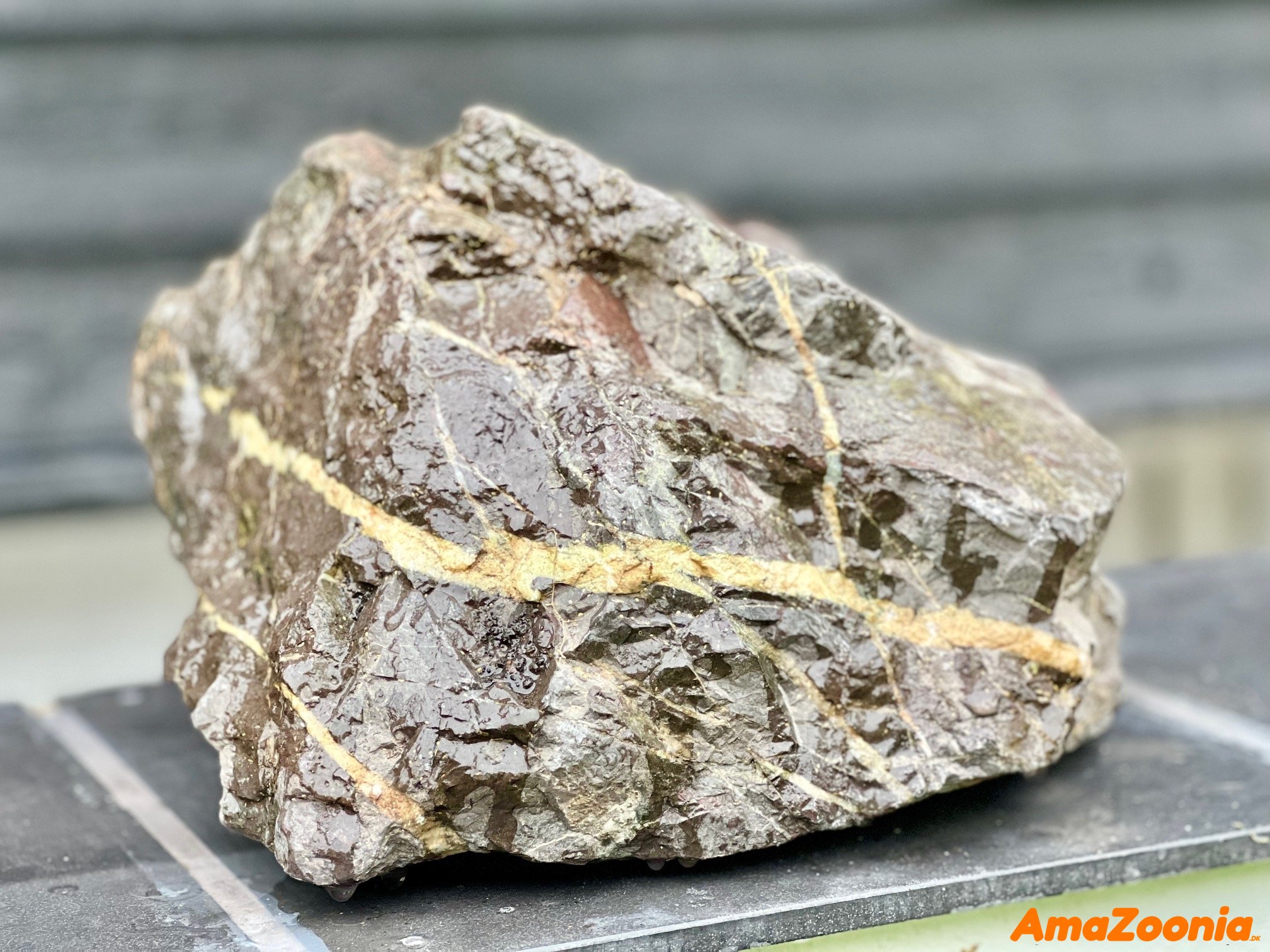 ADA Manten stone ( pr kg )