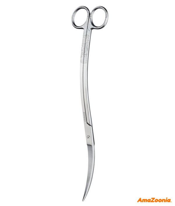 CHIHIROS Plante saks Wavy 21 cm