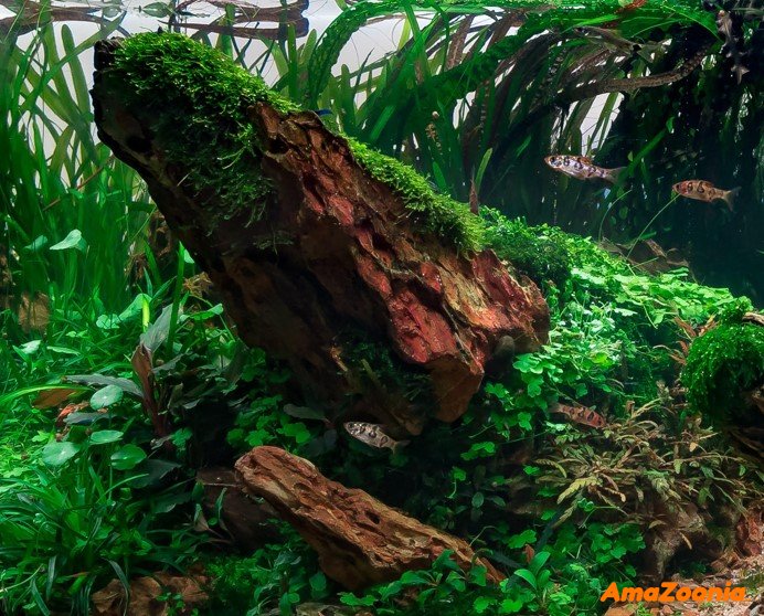 Dragon stone mix 10 kg 