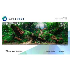 C02 anlæg der passer til store akvarier.                                        +120 liter