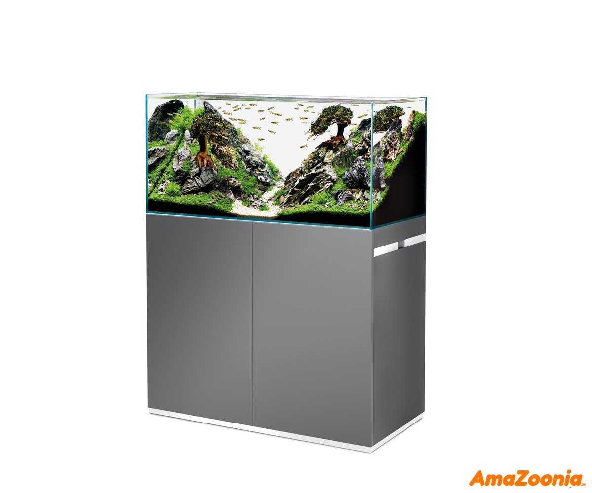 Oase Scaperline 100 st Grey