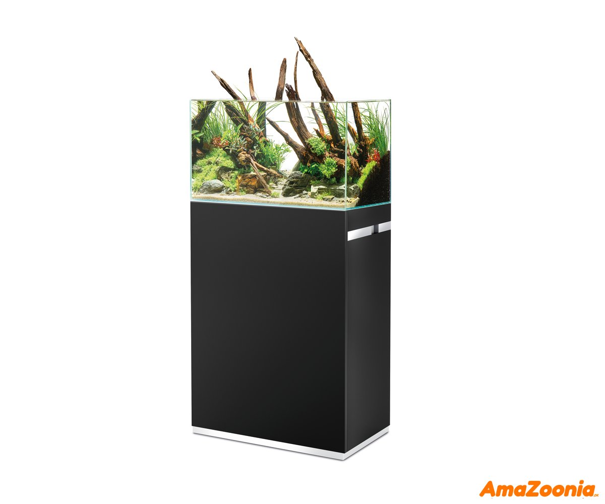 Oase ScaperLine 60 st black