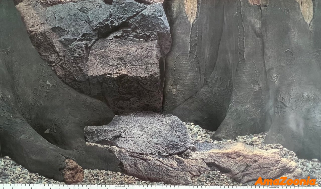 Akvarie baggrund Amazonia pr cm