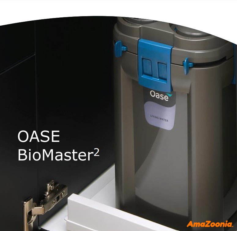 BioMaster 2 Thermo 600 