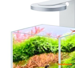 CHIHIROS magnetic light