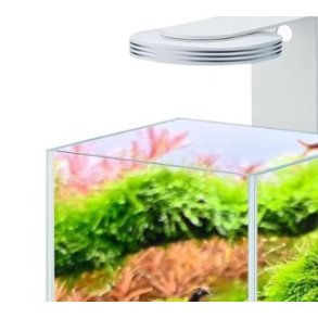 CHIHIROS magnetic light