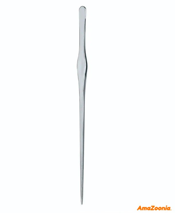 Plante pinset 25 cm Chihiros