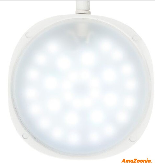 CHIHIROS magnetic light