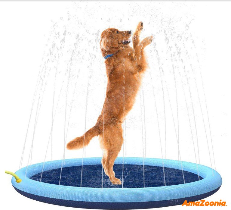 Dog Splash Pool 150cm Bl