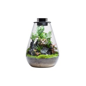 Bioloark - Luji Glass Cup - MY-120H