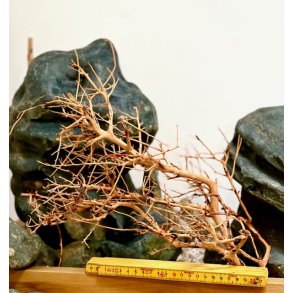 Scaping twigs M