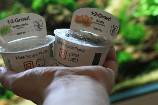 Akvarie plante gødning