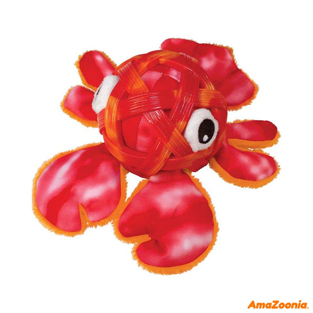 Kong sea shells hummer